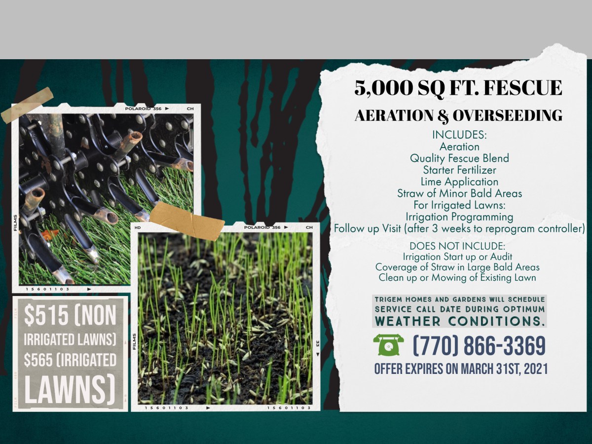 Fescue Aeration and Overseeding Offer