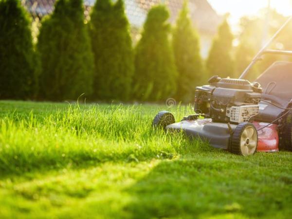 Lawn Maintenance Basics: Mowing